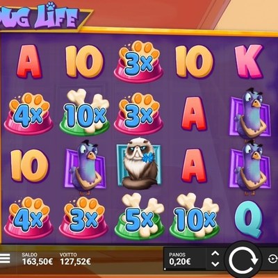 Game on the 365CUCI slot shelf